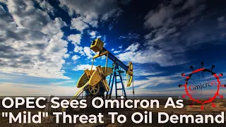 OPEC Sees Omicron as “Mild” Threat to Oil Demand