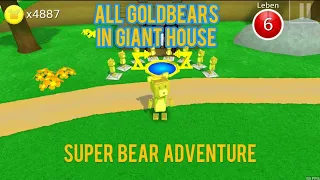 All goldbears in Giant House|Super Bear Adventure Tutorial