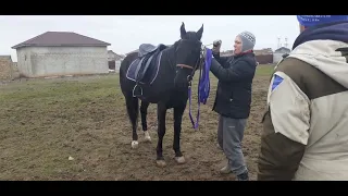 Под седлом, на корде 1 часть