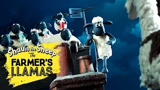 Shaun the Sheep: The Farmer's Llamas | Part 3