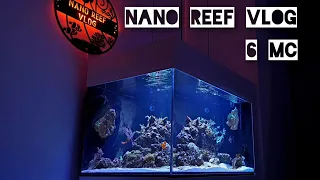 Nano Reef Vlog | to już pół roku 😁