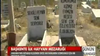 GÖLBAŞI'NA HAYVAN MEZARLIĞI YAPILDI