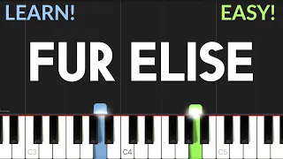 Fur Elise - Ludwig Van Beethoven | EASY Piano Tutorial