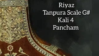 Tanpura | Scale G# | Kali 4 | Pancham