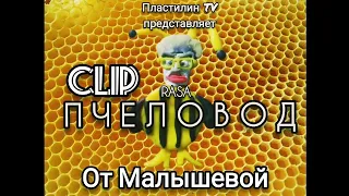 RASA "Пчеловод" от Малышевой! Клип Пластилин TV.