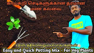 மாடித்தோட்டத்திற்கு தரமான மண் கலவை செய்வது எப்படி | PERFECT POTTING MIX | TERRACE GARDEN | SOILMIX