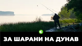 ЗА ШАРАНИ НА ДУНАВ - Риболов при БАЙКАЛ през забраната