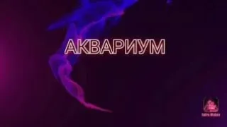 Партизаны полной луны, Аквариум, каверверсия