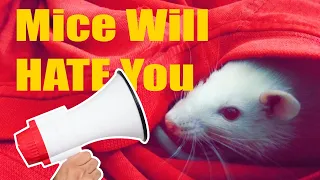 Sound Mice Hate | Mice Repellent Sound