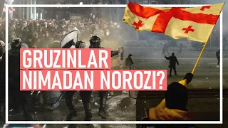 Gruziyadagi namoyishlar ortidan “хorijiy agentlar” qonuni bekor qilindi