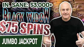 🥳 IN. SANE: $3,000+ in SLOT WINS on My FAVORITE Machine 🕸 $75 SPINS on Black Widow!