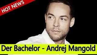 Der Bachelor - Zerstört Andrej Mangold Das Leben Seiner Ex-freundin?