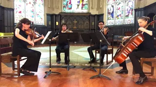 Canon in D - string quartet