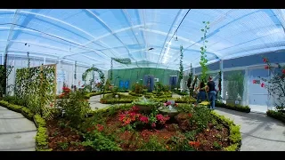 LA ESTACIÓN CALI | MARIPOSARIO 360º