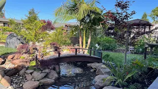 My husband built our pond all by himself