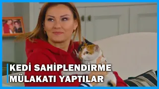 Meltem ile Haluk Kedi Sahiplendirme Mülakatı Yapıyor! - Çocuklar Duymasın 70.Bölüm