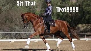 How to Sit the Trot!!