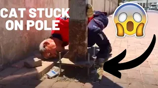 Rescue Cat Stuck On Pole (Cat Saving Story)