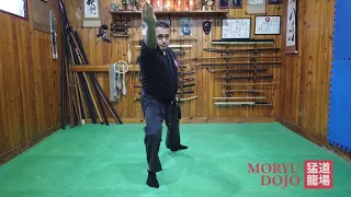 Formas Basicas Ninjutsu Bujinkan Moryu Dojo - Gogyo No Kata