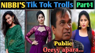 NIBBI's  Tiktok Trolls  #Premalatha #Bhanu1006 #Kristenravali | part 1 |Arey Entra idhi 2.0|