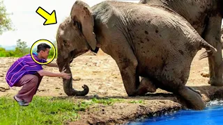 Crying Elephant Begs Man For Help. What Happens Next Is Incredible!