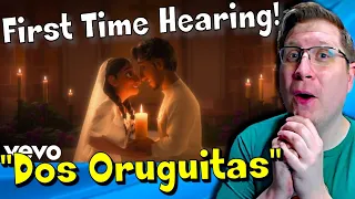 Radio DJ Listens: Encanto - "Dos Oruguitas" for the FIRST TIME | Incredible Feels...