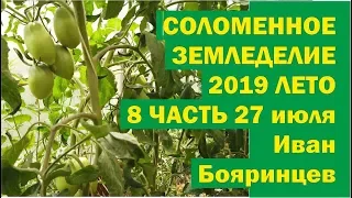 Соломенное земледелие 2019-8 Середина лета 27 июля. //Живая Баня Иван Бояринцев