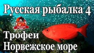 Русская рыбалка 4 Трофеи с Норвежского моря ФАРМ