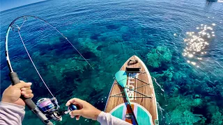 Can I Catch A Giant Fish On A Paddle Board