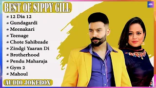 Best of Sippy Gill | Sippy Gill All Songs | Sippy Gill New songs | New Punjabi songs 2023 #sippygill