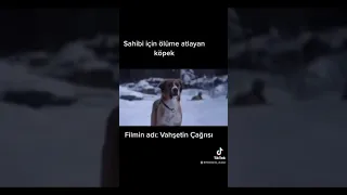 Filmin adı vahşetin çağrısı