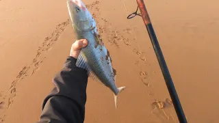 Waitpinga beach. Fishing a strong rip.