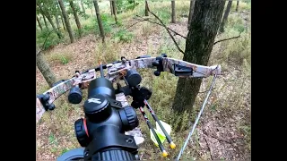 CRAZY deer neck shot with excalibur crossbow