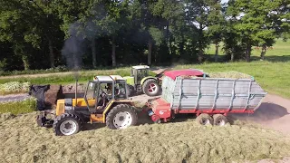 Jongvee Opfok ''Holstege'' gras inkuilen 02 juni 2021