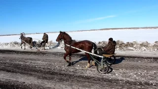 2017 Проводы зимы Скачки Пестери