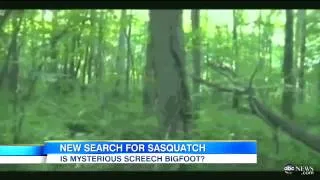 Hunt for Big Foot: Audio Evidence Sparks New Searc