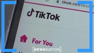 How TikTok is bringing AOC, Sen. Rand Paul together | NewsNation Prime