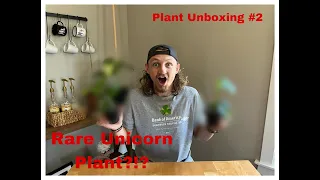 Rare UNICORN Plant Unboxing | More Variegated House Plants?!?