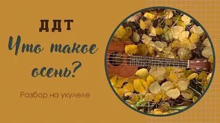 ЧТО ТАКОЕ ОСЕНЬ - ДДТ | на укулеле