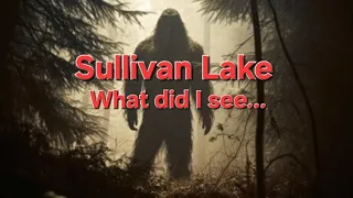 Sullivan Lake: What Did I See!!