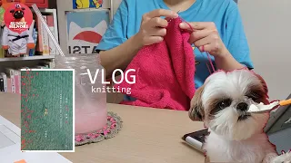 [Knitting and reading vlog-50]Knitting daily life/book review/single-person household/shih tzu puppy