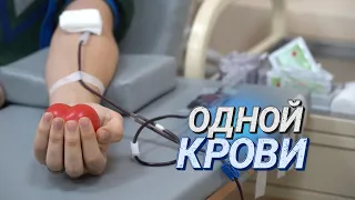 ПУТЬ КРОВИ от донорства до пациента|| Что происходит с кровью после донации? || РНПЦ трансфузиологии