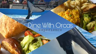 DINE WITH ORCAS| Seaworld Orlando| REVIEW| Makaio| 2022