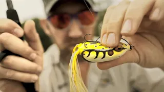 Fisch auf Fisch beim Topwater Angeln!