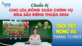 APN - THỜI TIẾT NÔNG VỤ THÁNG 11/2023 | CHUẨN BỊ ĐÔNG XUÂN CHÍNH VỤ, VỤ THUẬN SẦU RIÊNG 2024