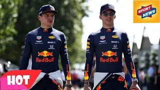 F1 news: Pierre Gasly will be demoted as Max Verstappen set for new team-mate - Villeneuve