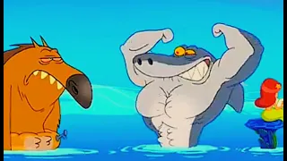 zig and sharko #shorts