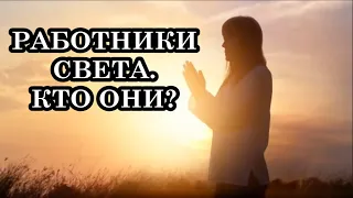 Узнайте, являетесь ли вы «Работником Света»? 8 основных типов «Работников Света»