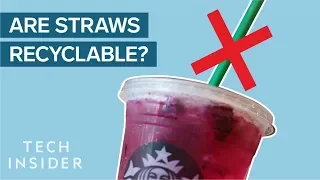 Why Plastic Straws Suck