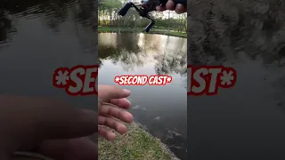 This bait catches BIG fish